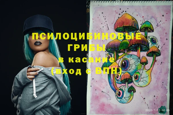 гашик Балахна