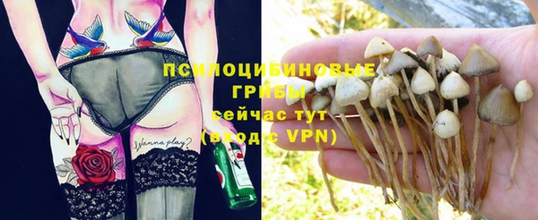 гашик Балахна