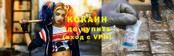 прущие грибы Богородицк