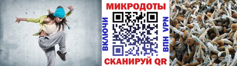 Псилоцибиновые грибы GOLDEN TEACHER  Боровичи 